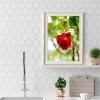 Love Rose - Full Round Diamond - 30x40cm