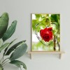 Love Rose - Full Round Diamond - 30x40cm