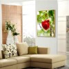 Love Rose - Full Round Diamond - 30x40cm