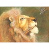 Kits Lion Spider s - Full Round Diamond - 40x30cm