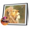 Kits Lion Spider s - Full Round Diamond - 40x30cm