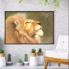 Kits Lion Spider s - Full Round Diamond - 40x30cm