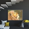 Kits Lion Spider s - Full Round Diamond - 40x30cm