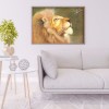 Kits Lion Spider s - Full Round Diamond - 40x30cm