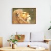 Kits Lion Spider s - Full Round Diamond - 40x30cm