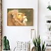 Kits Lion Spider s - Full Round Diamond - 40x30cm