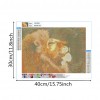 Kits Lion Spider s - Full Round Diamond - 40x30cm