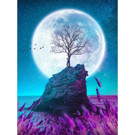 Moon  - Full Round Diamond - 30x40cm