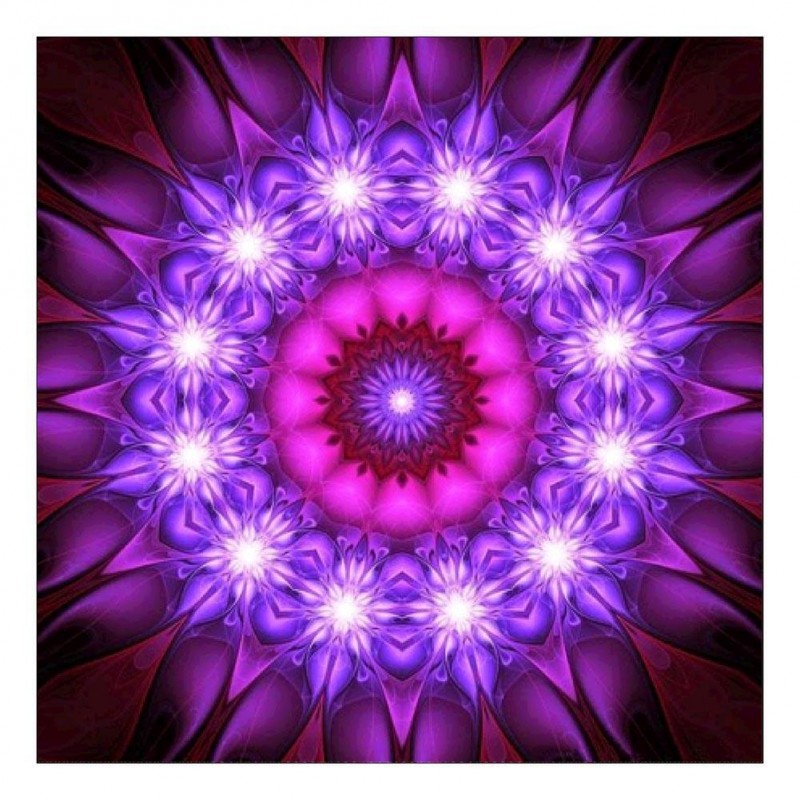 Purple Flower - Full...
