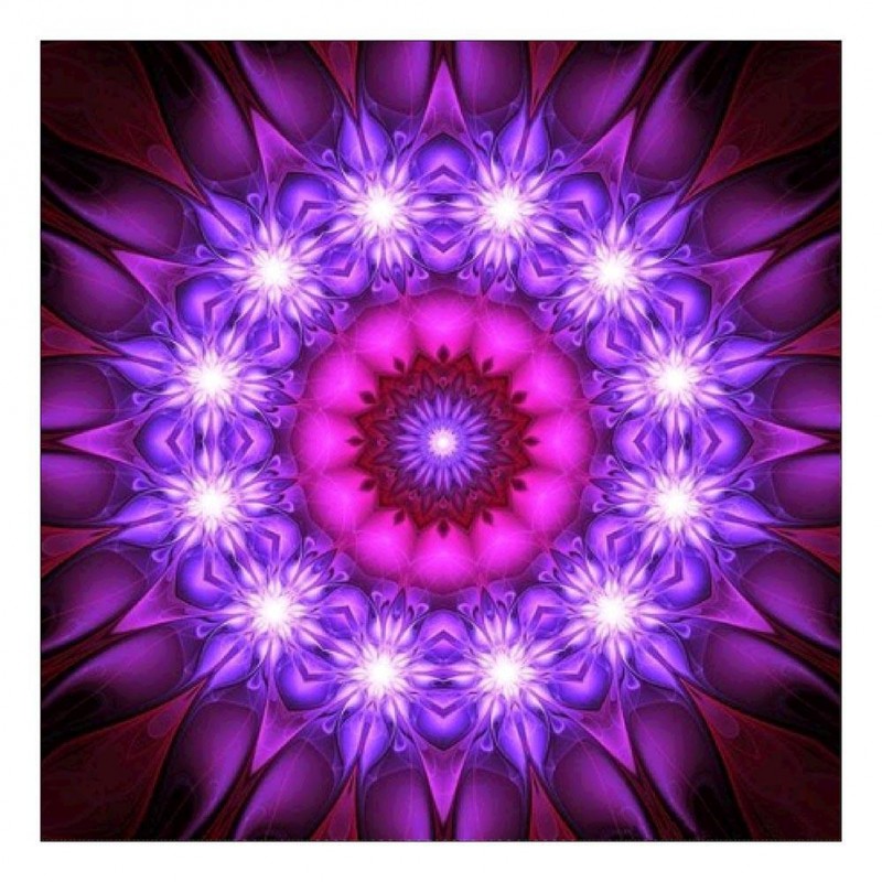 Purple Flower - Full...