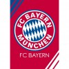 Bayern Munich Club Logo - Full Round Diamond - 30*40cm