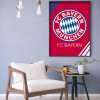 Bayern Munich Club Logo - Full Round Diamond - 30*40cm