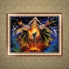 Sorcerer - Partial Round Diamond - 30x40cm