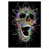 Skull - Full Round Diamond - 30x40cm