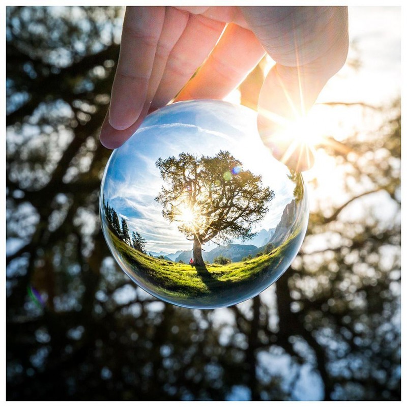 Tree Ball - Full Rou...
