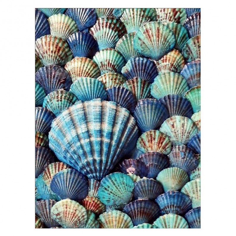 Shell - Full Round D...