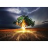 Lightning Tree - Full Round Diamond - 30*40cm
