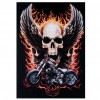 Skull Wing Halloween - Partial Round Diamond - 30x40cm