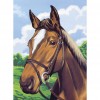 Horse - Full Diamond Painting - 30x40cm