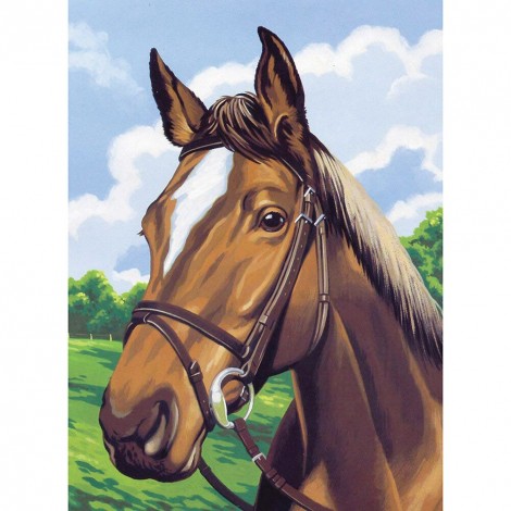 Horse - Full Diamond Painting - 30x40cm