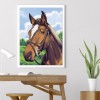 Horse - Full Diamond Painting - 30x40cm