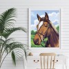 Horse - Full Diamond Painting - 30x40cm