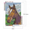 Horse - Full Diamond Painting - 30x40cm