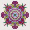 Mandala - Special Shaped Diamond - 30x30cm
