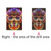 Skull - Full Diamond Painting - 30x40cm