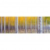 Multi Tree - Full Round Diamond - 80x30cm