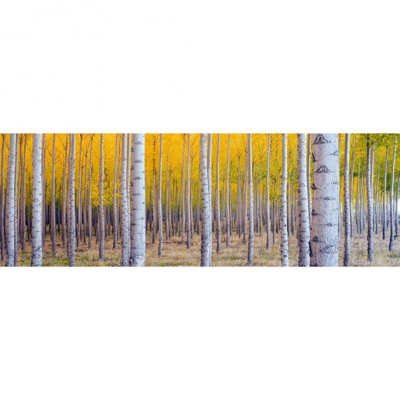 Multi Tree - Full Ro...