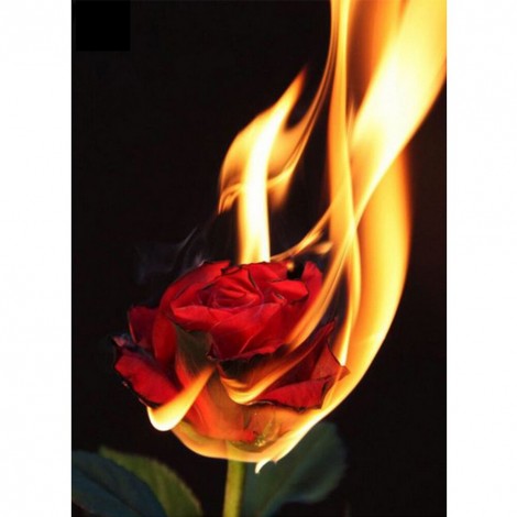 Burning Rose - Full Round Diamond - 30x40cm