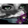 Art Eyes with Stories  - Full Round Diamond - 30x40cm