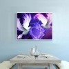 Love Animal  - Full Diamond Painting - 30x40cm