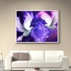 Love Animal  - Full Diamond Painting - 30x40cm