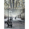 Street View - Full Round Diamond - 30*40cm