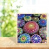 Colorful - Full Diamond Painting - 40x40cm