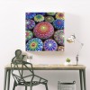 Colorful - Full Diamond Painting - 40x40cm