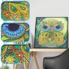 Owl  - Special Shaped Diamond - 30x30cm