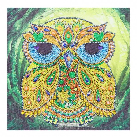 Owl  - Special Shaped Diamond - 30x30cm