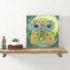 Owl  - Special Shaped Diamond - 30x30cm