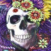 5D DIY Special-shaped Diamond Painting Cross Stitch Kit (SJ1032 Skull)