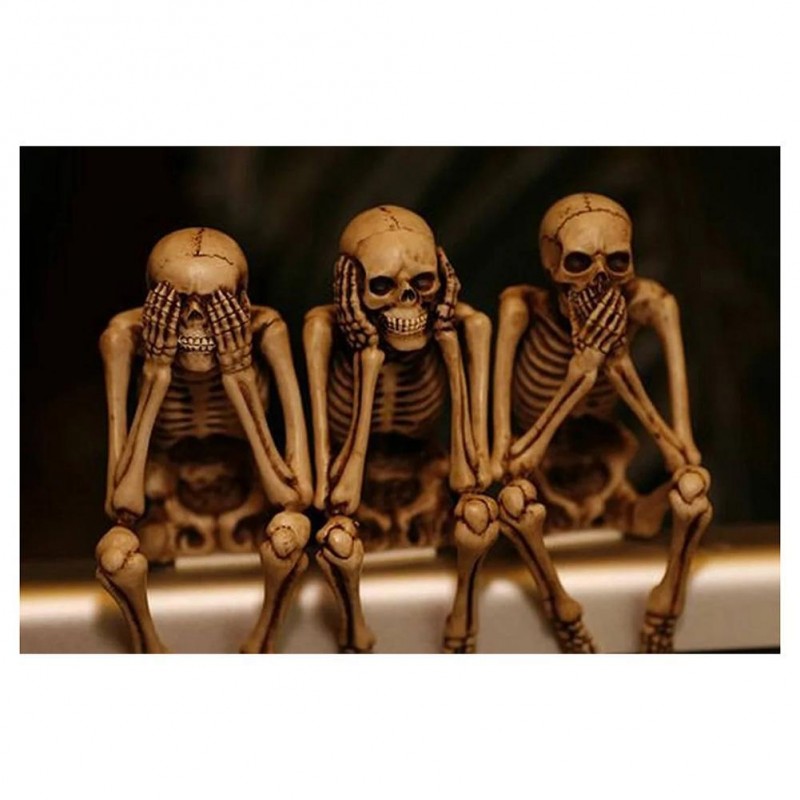 Thinking Skull - Ful...