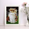 Old Cat - Full Diamond Painting - 30x40cm