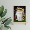 Old Cat - Full Diamond Painting - 30x40cm
