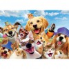 Cute Animals  - Full Round Diamond - 40x30cm