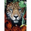 Tiger Head - Full Round Diamond - 30*40cm