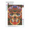 Skull  - Full Diamond Painting - 40x30cm
