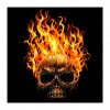 Flaming Skull  - Full Diamond Painting - 30x30cm