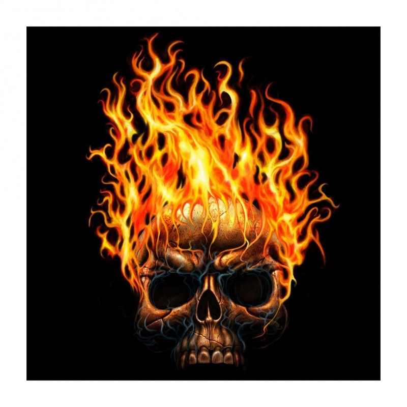 Flaming Skull  - Ful...